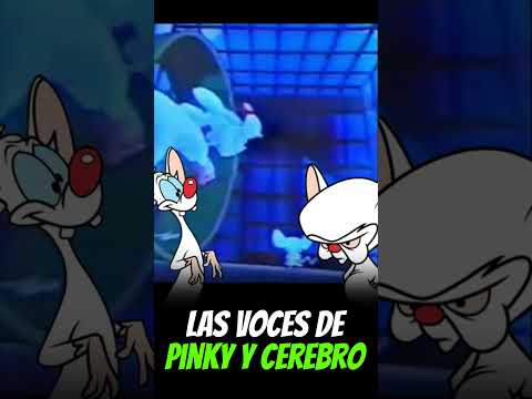 Las Voces de Pinky y Cerebro #animaniacs #pinky #doblaje #doblajelatino #viralshorts