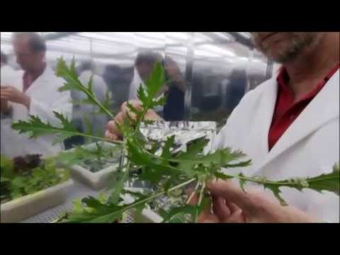 The Power of Plants