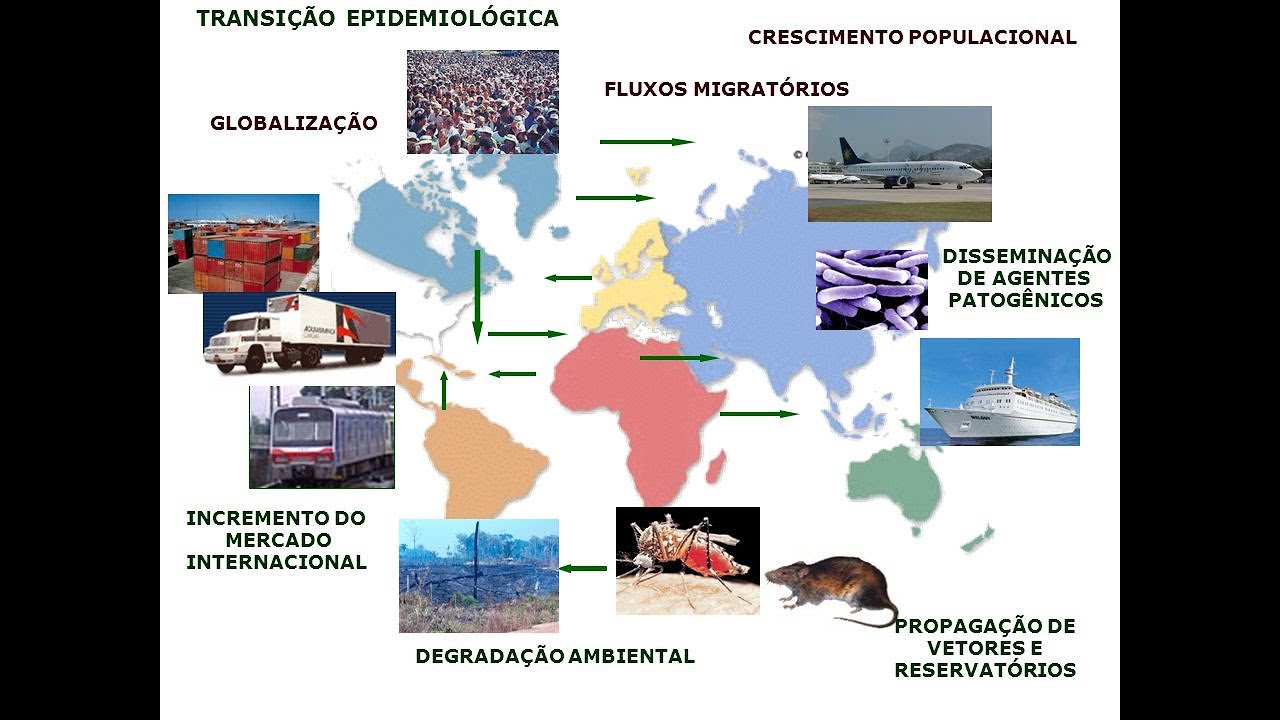 Transição Epidemiológica, Transição Nutricional e DCNT