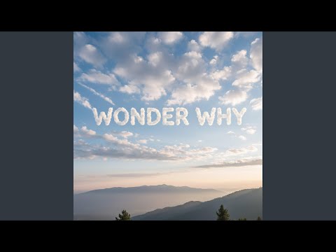 Wonder Why