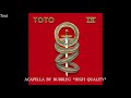 Toto - Africa (High Quality Acapella / Vocal Track)