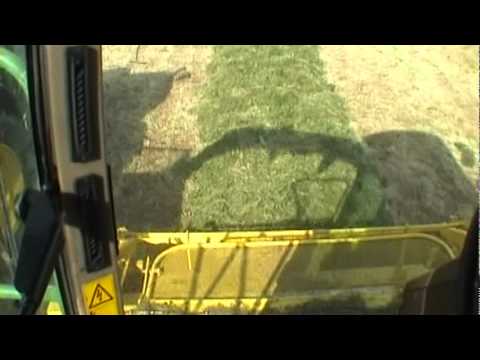 The Silage & Maize Song By Michael Kennedy