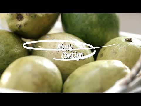 Beneficios de la Guayaba