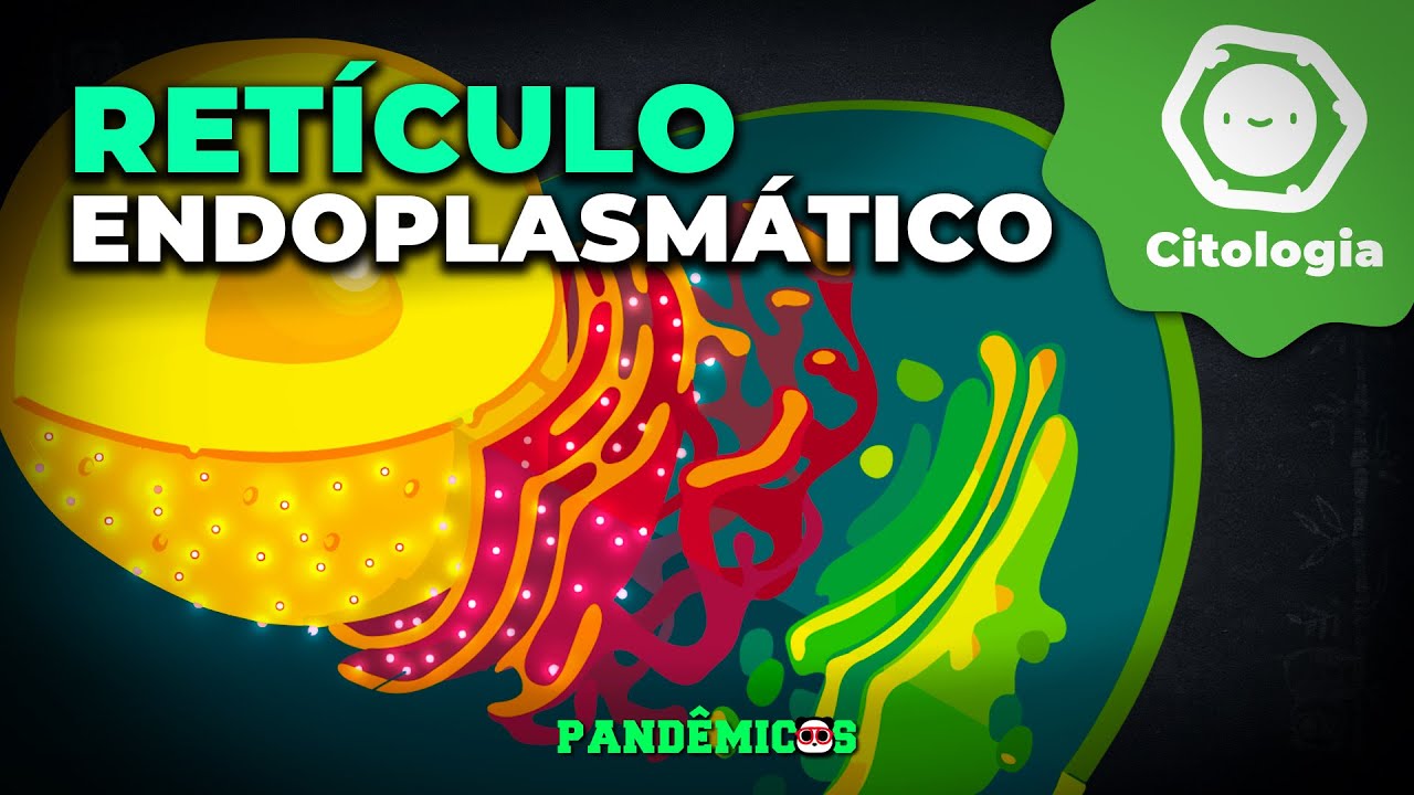 Retículo Endoplasmático