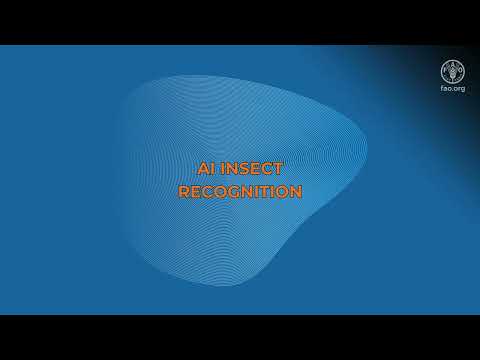 FAO Digital Service Portfolio – Enhanced by AI Capabilities