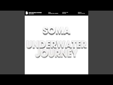 Underwater Journey (Original Mix)