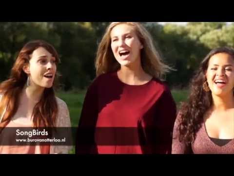 SongBirds - acoustic quartet - 3 ladysingers and guitarplayer