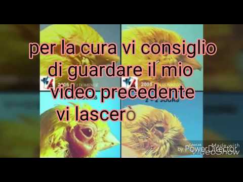 A che sognare il verme con denti Come capire che non ci sono vermi