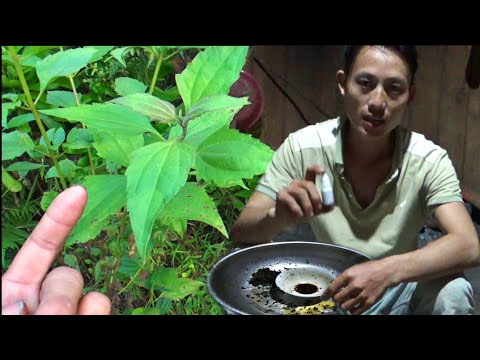 Tsob tshuaj siv kho kuv tus mob txhaws qhov ntswg /siv seb puas pab tau nej - teem thiab yiv