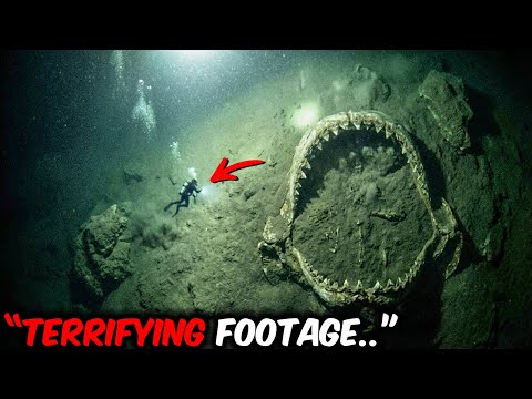 Experts Refuse To Comment After Divers Discovered A New Megalodon Jawbone With UNKNOWN Markings!