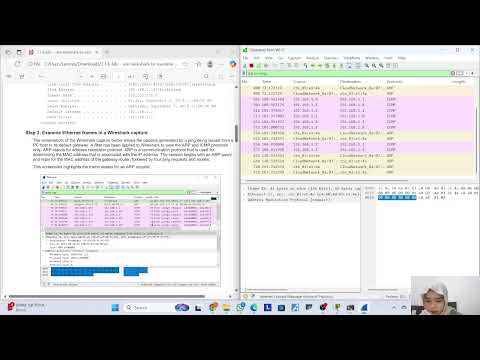 7.1.6 Lab - Use Wireshark to Examine Ethernet Frames