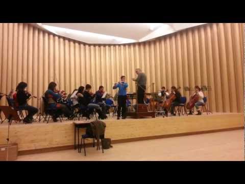 Orchestra del Conservatorio Casella