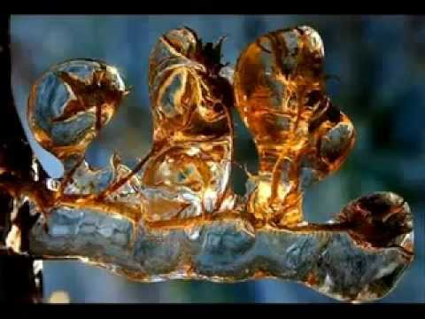 sensiveyorm’s Video 140234154987 jF7qu-LeCHY