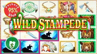 Wild Stampede 95% payback slot machine, bonus