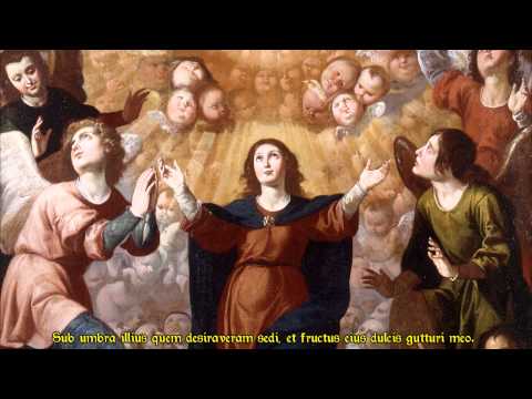 Francisco Guerrero - Ego flos campi