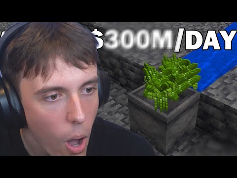 Can Bamboo Farms Make You Rich?