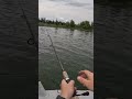Video Thumbnail for Topwater Pike Strike! #pike #fishing #topwater