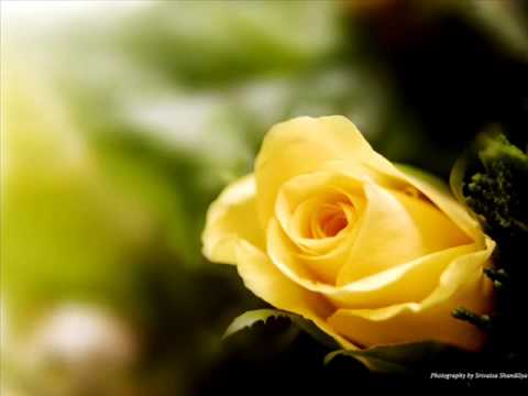 Flora Martirosyan-----lusnyak gisher