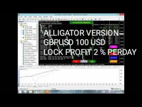 Video Alligator Version Lock Profit Ea