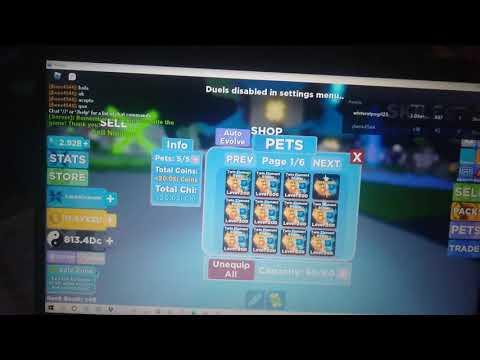 Ninja Legends Vortex Pets Give away?