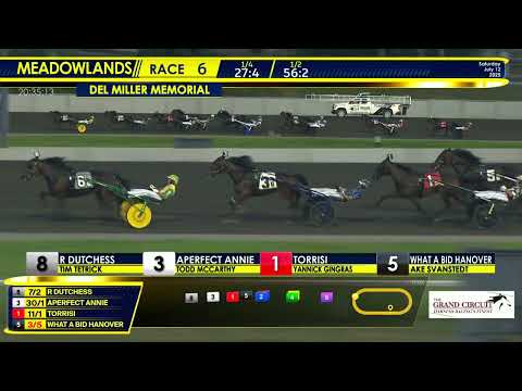 July 12, 2025 - Del Miller Memorial Meadowlands Pace Race 6