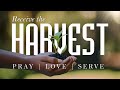 Harvest | 
