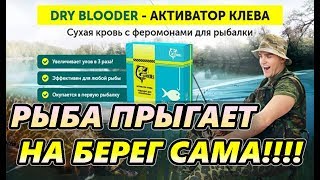 Ссылка