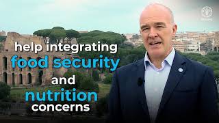 FAO Framework for the Urban Food Network