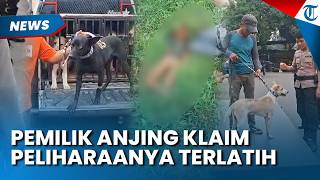 KLAIM TERLATIH, Pemilik Anjing Ngaku Baru Kali Pertama Peliharaannya Serang Manusia