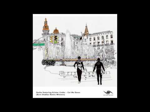 Sasha feat Krister Linder - Cut Me Down (Mehmet Akar Remix)