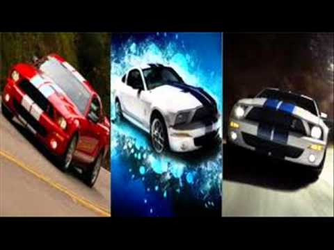 DINASTIA DE PERRONES