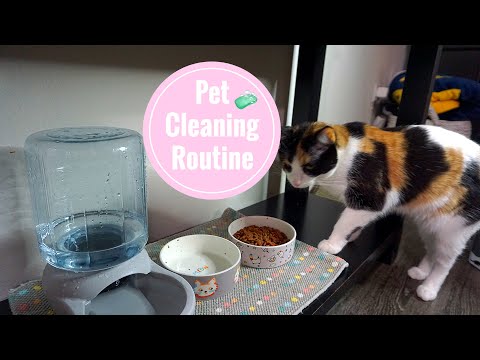 HOW I KEEP A CLEAN AND ORGANIZED HOME WITH PETS | CLEANING ROUTINE WITH PETS | CLEAN WITH ME 2020