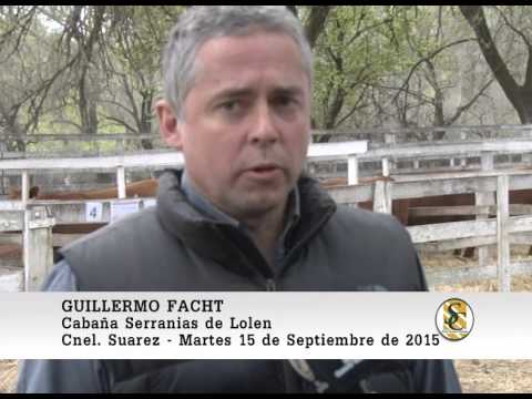 15-09-15 Nota Guillermo Facht - Cabaña Lolen - Coronel Suarez.