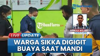 Nasib Malang Warga Bangkoor Sikka NTT Digigit Buaya saat Mandi di Laut, Berutung Masih Selamat