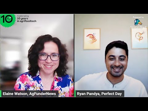 Perfect Day CEO: We're trying to build a company that could exist as ...