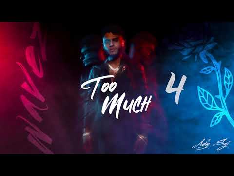 Ady Saj - Too Much (Official Audio)
