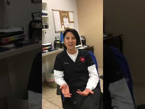 Veterinarian animal hospital staff