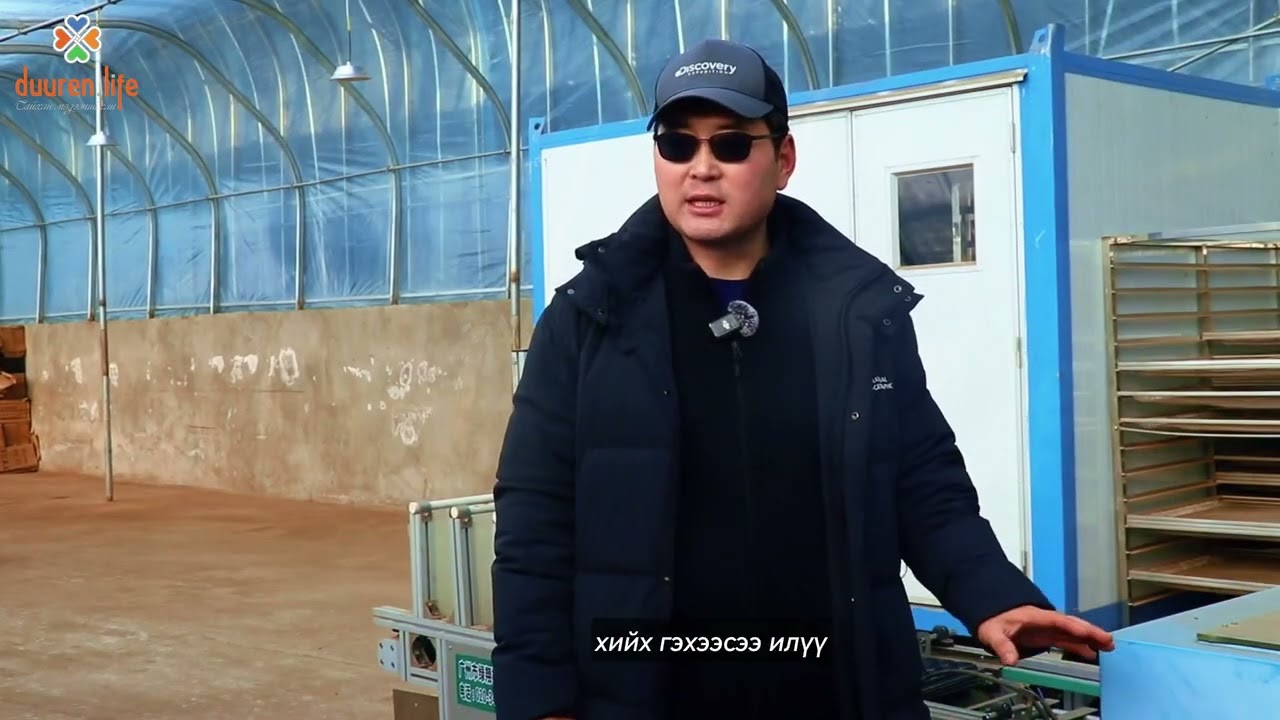 ШАНДДОВ ХХК Гүзээлзгэнэ 3