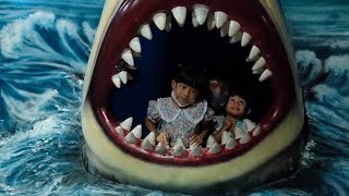 Download lagu SeaWorld ancol || Mengenal kehidupan di bawah laut 🌊 mp3 Download lagu SeaWorld ancol || Mengenal kehidupan di bawah laut 🌊 mp3