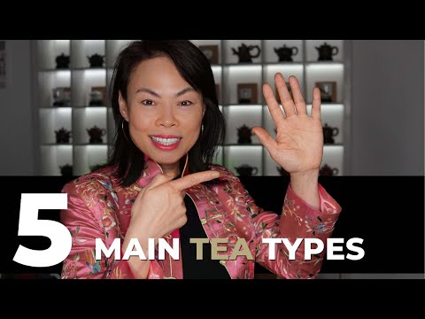 5 Tea Types You Need To Know | Tea With Olivia