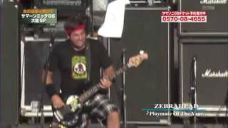Zebrahead - Playmate Of The Year (Live @ Sumersonic Festival, Japan 2008)