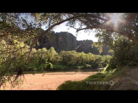 Australia's First 4 Billion Years: Life Explodes