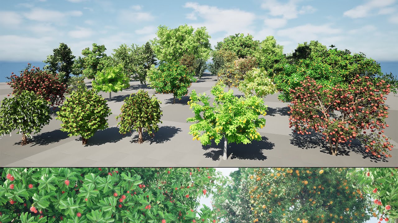 High realistic Fruit Trees 3D Collection 01 3D Model