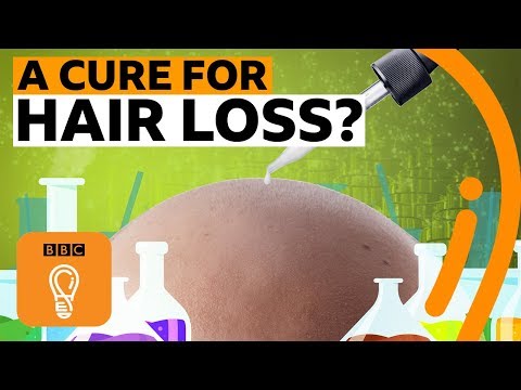 Why is there no cure for hair loss? | BBC Ideas