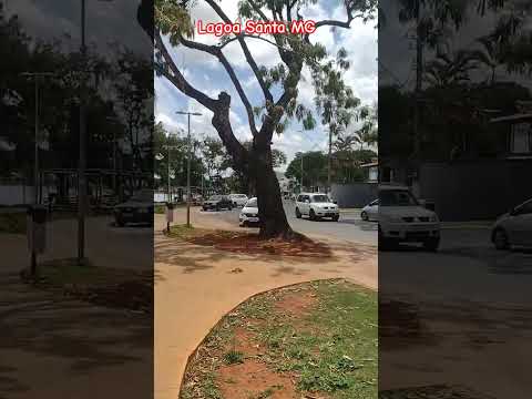 Lagoa Santa MG #vlog #turismo