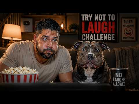 Try Not To Laugh Challenge on JasonTV