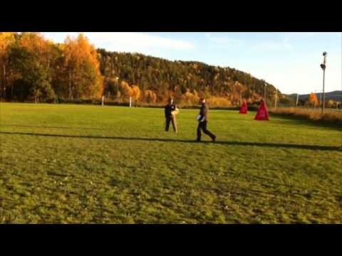 Håvard Drøymar av Staalhjerte IPO3 LL Siggerud - C