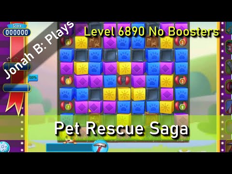 Pet Rescue Saga Level 6890 No Boosters