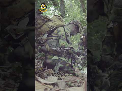 Special task force - Sri Lanka #shorts #stf #specialtaskforce