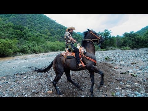 Los Austeros De Durango - El Tolo (Video Oficial)